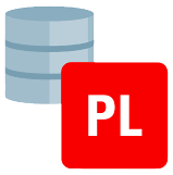 PL/SQL